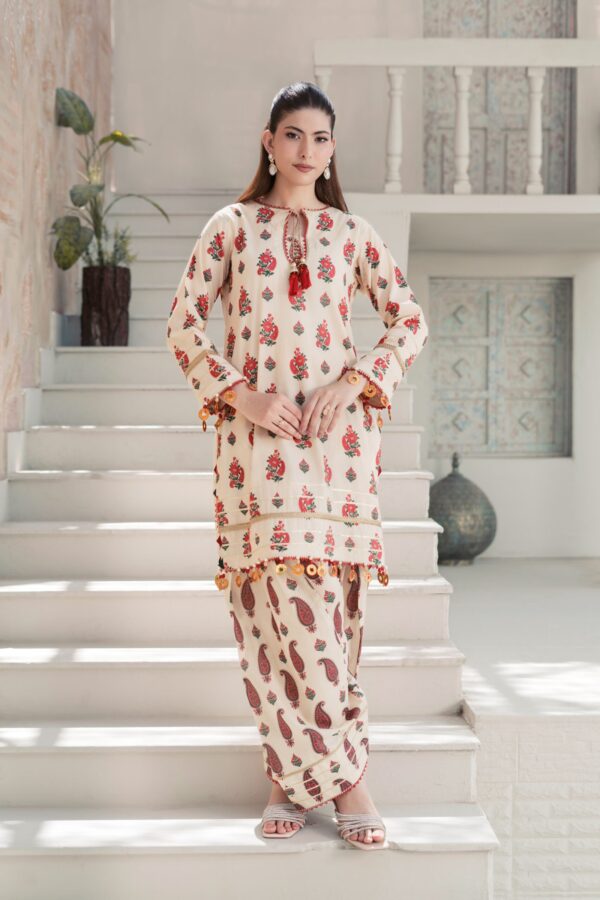 Saadia Ahmed SA26SP203 Printed 2pc Lawn 26'